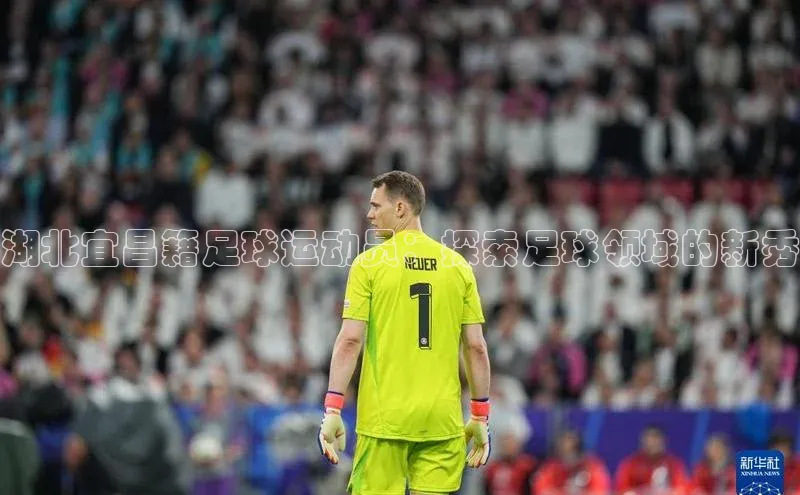 中欧体育网页版入口壹网壹创湖北宜昌籍足球运动员：探索足球领域的新秀