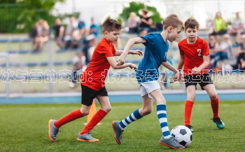 中欧体育官方平台入口下载百度教育冰与雪的交响：北方冬季水上运动赛事