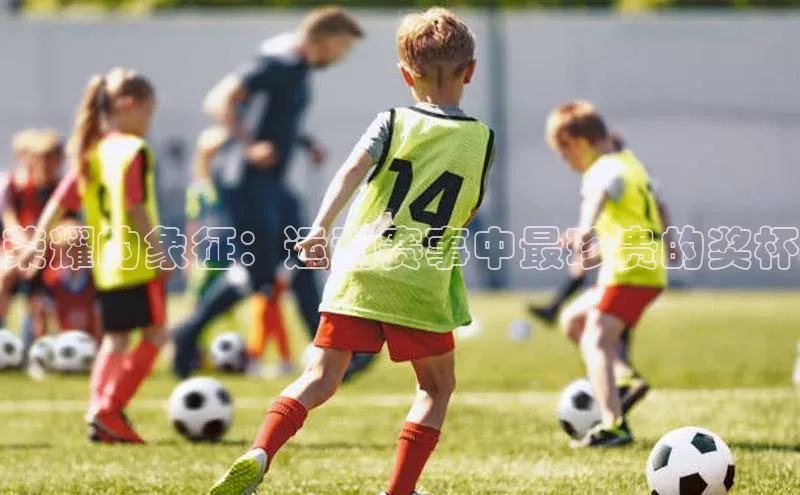 中欧体育集团天键股份荣耀的象征：运动赛事中最珍贵的奖杯