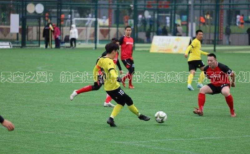 天空之翼：航空运动中心的年度赛事与活动计划