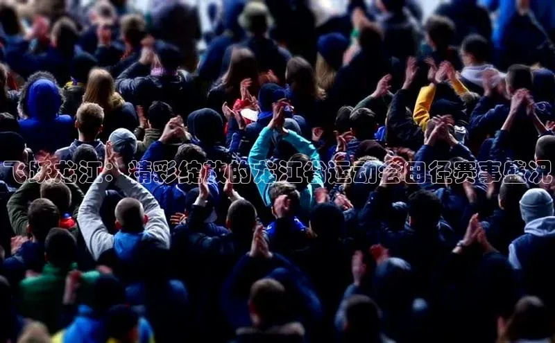 飞跃龙江：精彩绽放的龙江省运动会田径赛事盛况