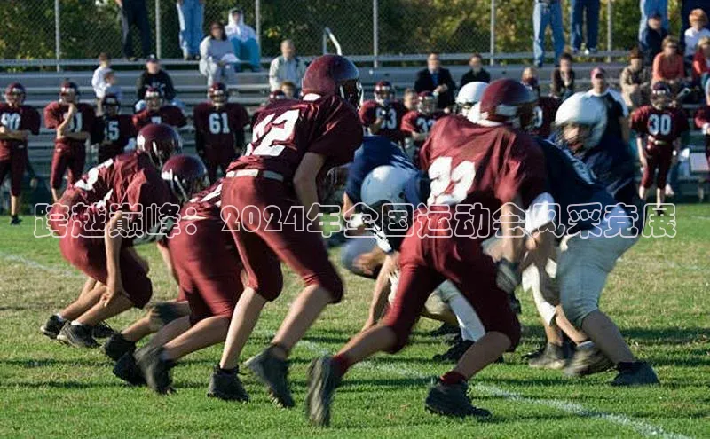 跨越巅峰：2024年全国运动会风采竞展