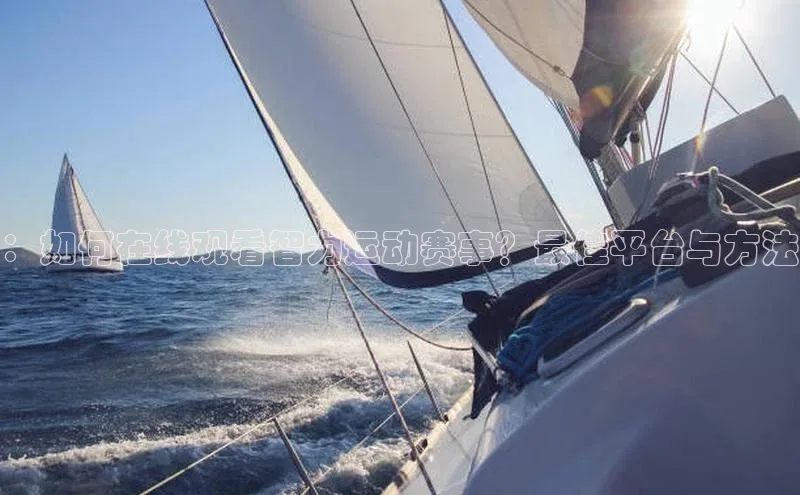 ：如何在线观看智力运动赛事？最佳平台与方法