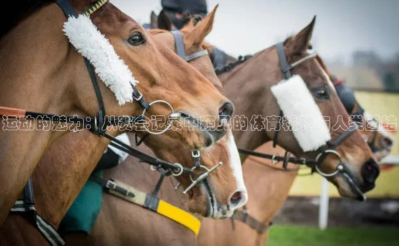运动的魅力：从赛会记录中窥见的体育精神与人类团结