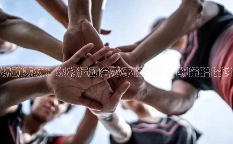 燃动赛场：现将运动会赛事策划与组织策略探讨