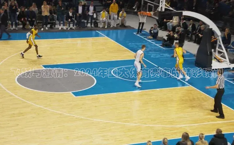 飞跃与激情：2024年重大体育赛事的精彩瞬间