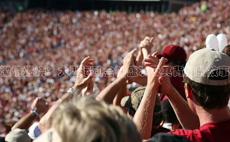 激情燃烧：大型运动会的盛况及其背后的故事
