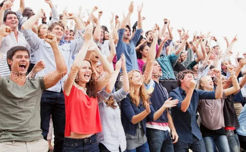 飞跃2024：中国国内体育赛事的年度盛况与未来趋势