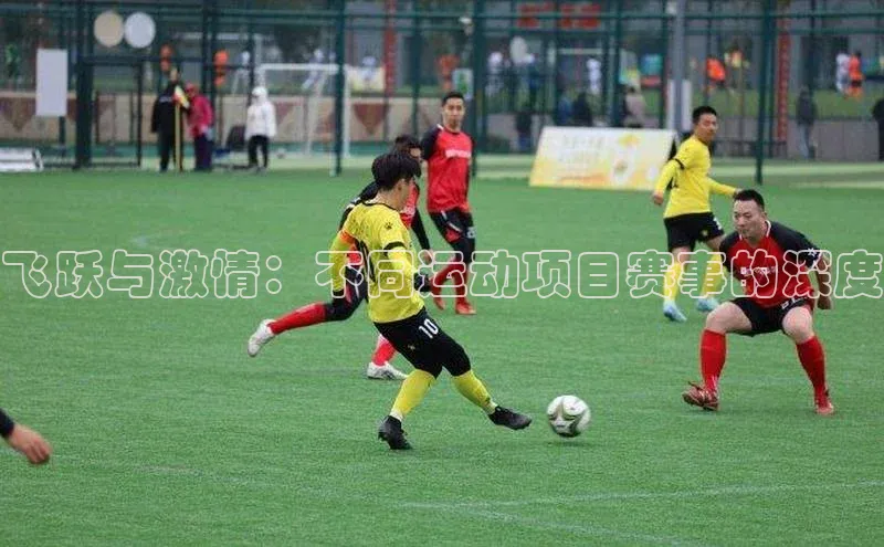 飞跃与激情：不同运动项目赛事的深度