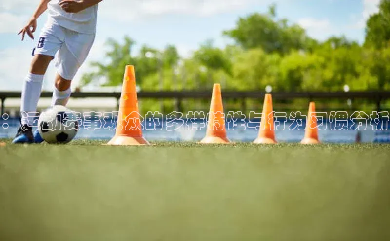 ：运动赛事观众的多样特性与行为习惯分析