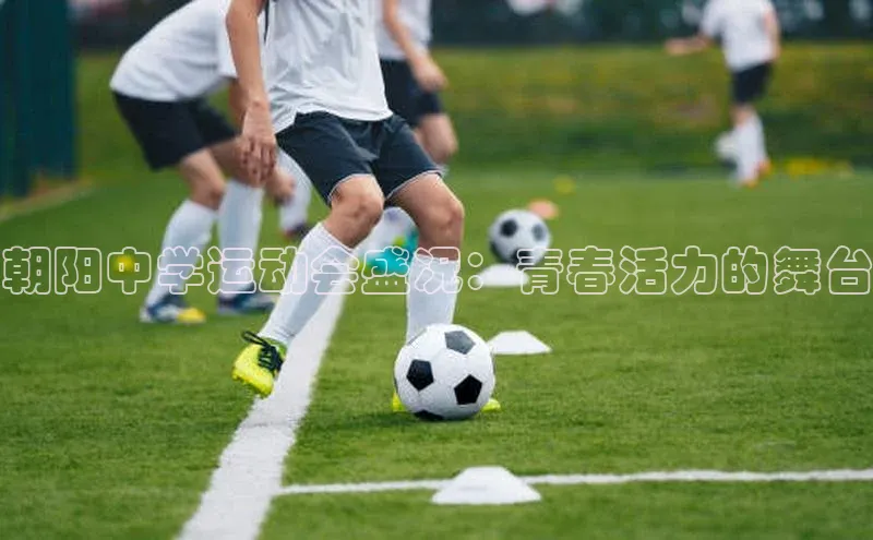 朝阳中学运动会盛况：青春活力的舞台