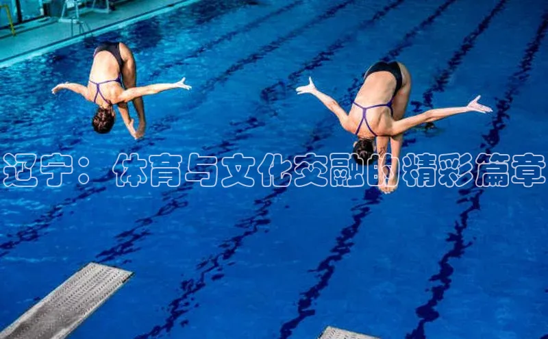 辽宁：体育与文化交融的精彩篇章