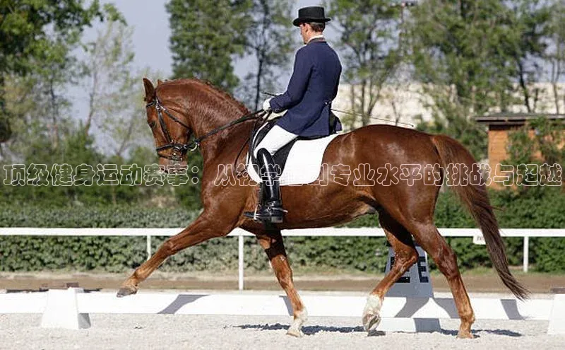 顶级健身运动赛事：从初学者到专业水平的挑战与超越