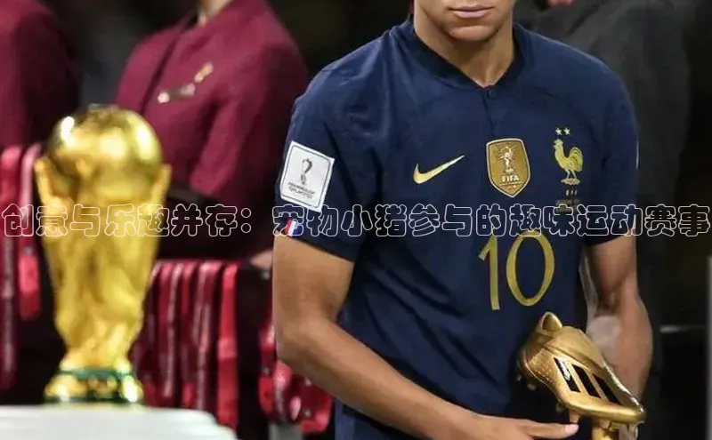 中欧体育全站app