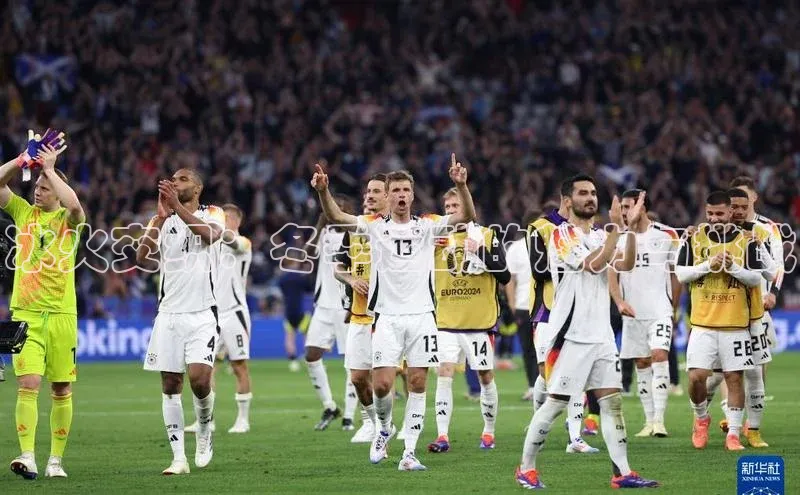 中欧体育官方平台入口