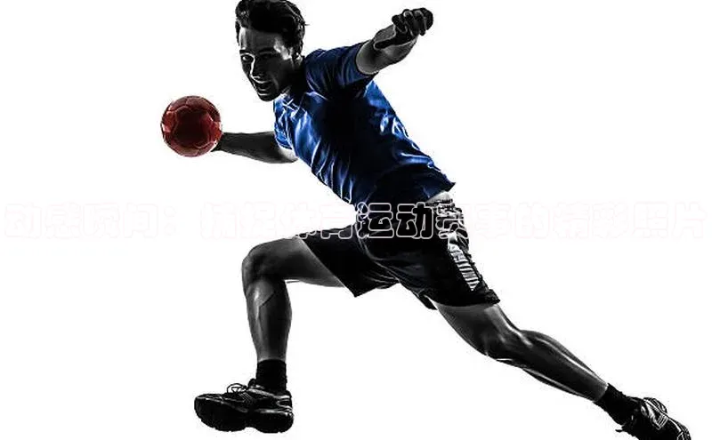 中欧体育app官方网站