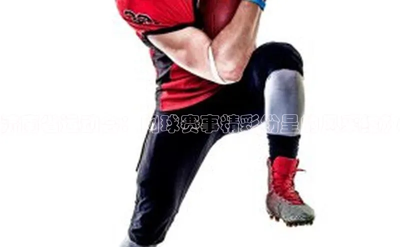 中欧体育网页版入口