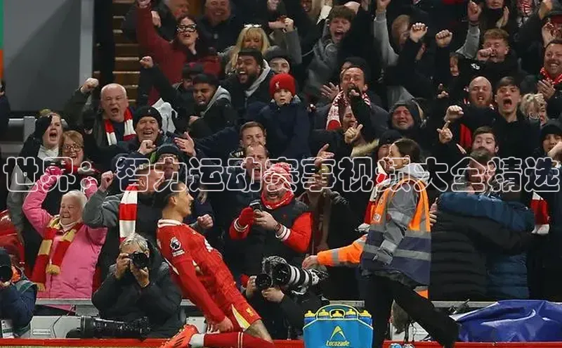 世界：智力运动赛事视频大全精选