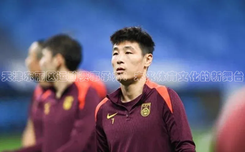 天津东丽区运动赛事承办：未来体育文化的新舞台