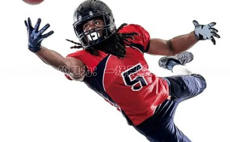 中欧体育最新地址