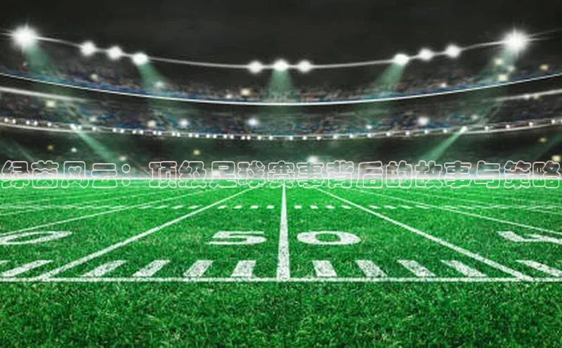 绿茵风云：顶级足球赛事背后的故事与策略