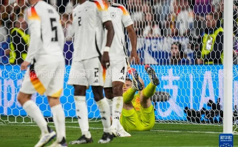 中欧体育官方平台入口下载