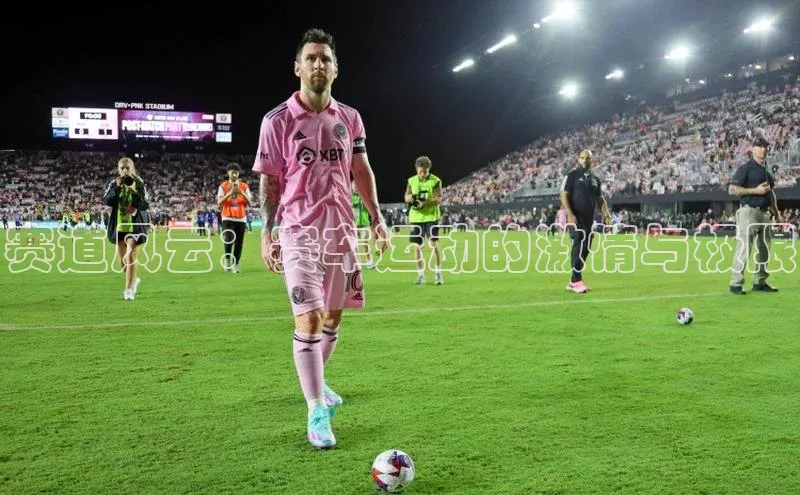 中欧体育app下载安装