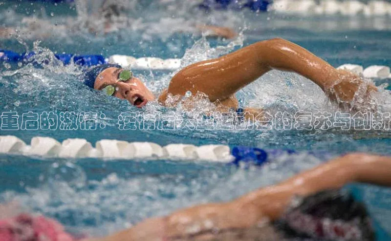 zoty官方体育网页版